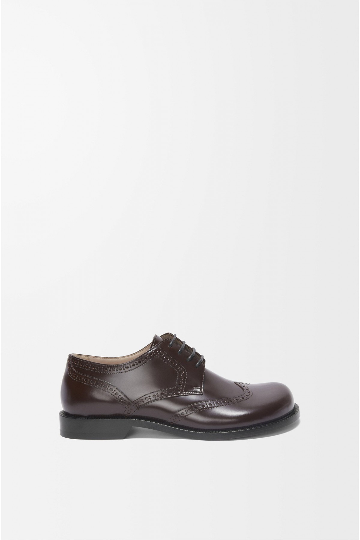 LOEWE Campo Brogue Derby In Brushed Calfskin Dark Brown